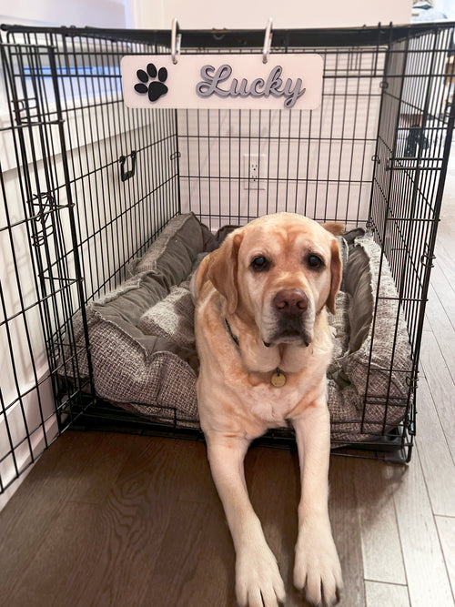 DOG Sign Kennel Custom Name Cat Puppy Kitten Wood Hanger Paw Personalize Gift Home Dog Christmas Gift Personalized Dog Gift, Crate Dog Decor